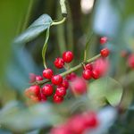 Anne Knetsch - @sprachtherapie_ - Instagram