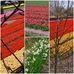 Anneke Knetsch - Facebook