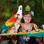 Ann Knoll - @ann.knoll.75 - Instagram