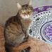 Anne Knoll - Facebook