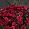 Annemarie Knoll - @annemarie.knoll7 - TikTok