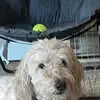 Ann Marie Knott - @ann.marie.knott - TikTok