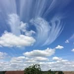 Patricia Anne Knott - @pa_knott - Instagram