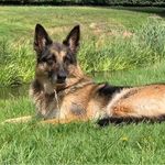 Anne Knowles - @nananne51 - Instagram