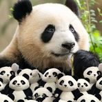 Anne Ko - Facebook