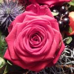 Anne Köhler - @weib_und_seele - Instagram