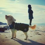 Anne. Köhler - @diekoehlerei - Instagram