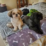 dianne kottke - @kottkedianne - Instagram