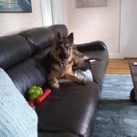 Ann LaBranche - @myjinxie - Instagram
