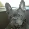 annelabranche4 - @annelabranche4 - TikTok