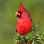 Anne LaFollette - Facebook