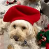 Annie Lancaster - @annie.lancaster - TikTok