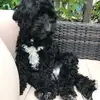 Anne Lange - @anne.lange7 - TikTok