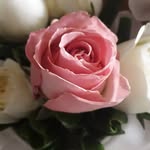 Anne Lange - @anne_lange1 - Instagram