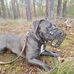Anne Lange - Facebook