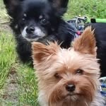 Anne Lange - @lange706 - Instagram