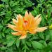 Anne Langer - Facebook