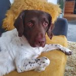 Anne Langford - @dormiestorm19 - Instagram