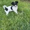 annelangford88 - @anne.langford5 - TikTok