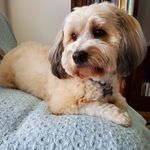 Mary Anne Langford - @langfordmaryanne - Instagram