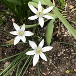 Anne Langley - @langleyac193 - Instagram