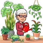 Anne Lapointe - @lapoann - Instagram