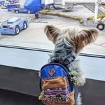 Anne-Marie Laughlin - @estherjoy555718 - Instagram