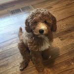 georgia anne laughlin🤍🤍 - @georgia.anne.laugh23 - Instagram
