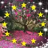 Anne Law - @anne.law6 - TikTok