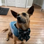 Anne Oden Law - @annelaw12 - Instagram
