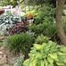Anne Leach - Facebook