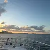 Anne Leakey - @anne.leakey - TikTok