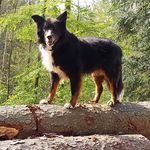Annette Leininger - @nettelein - Instagram