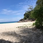 Kelly Anne Leperance - @kelly_anne_lesperance - Instagram