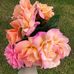 Anne Lindley - Facebook