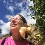 Anne Lindley Killheffer - @annekillheffer - Instagram