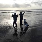 Tracey Anne Lindley - @visp - Instagram