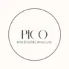 Picô Arte Crochê | Anne Lins - @pic.arte.croch - TikTok