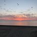 Lori Anne Lobb - Facebook