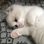 anne - @anne_lodge_ - Instagram