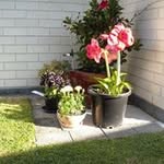 Anne Lodge - @evelyn.lodge - Instagram