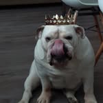 Anne-marie Loewenguth - @annemarieloewenguth - Instagram