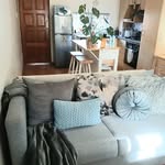 Anne Fenn - @annes_cosy_little_loft - Instagram