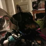 Anne Loftin - @anne.loftin - Instagram
