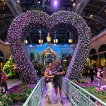Ann Logsdon - @ann.logsdon580 - Instagram