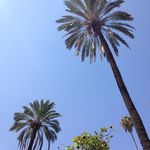 Anne-Cecile LOISEL - @annecloisel - Instagram
