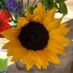 Anne Long - @annelong7245 - Instagram