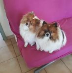 Anne Longe - Facebook