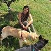 Lauranne Longley - @laurannelongley - TikTok
