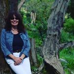 Ann Longman - @petalongman - Instagram